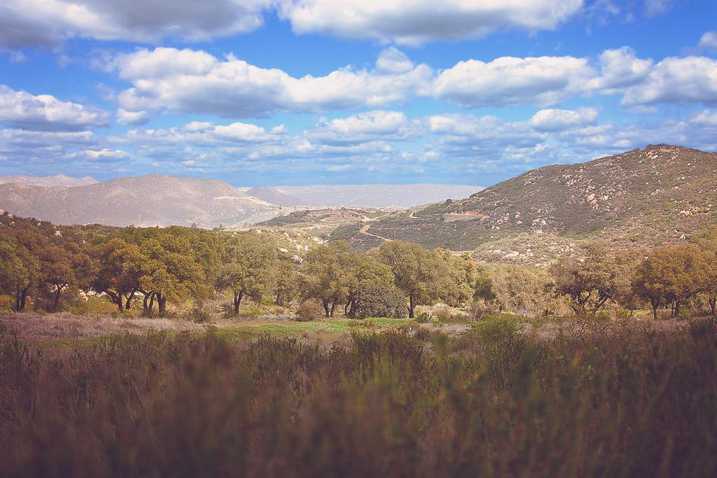 Hotel Boutique Rancho Tecate Eksteriør bilde